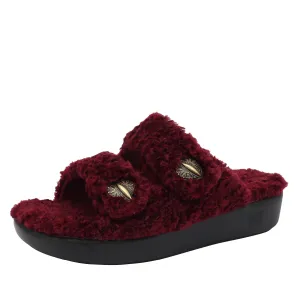 Chillery Garnet Slipper